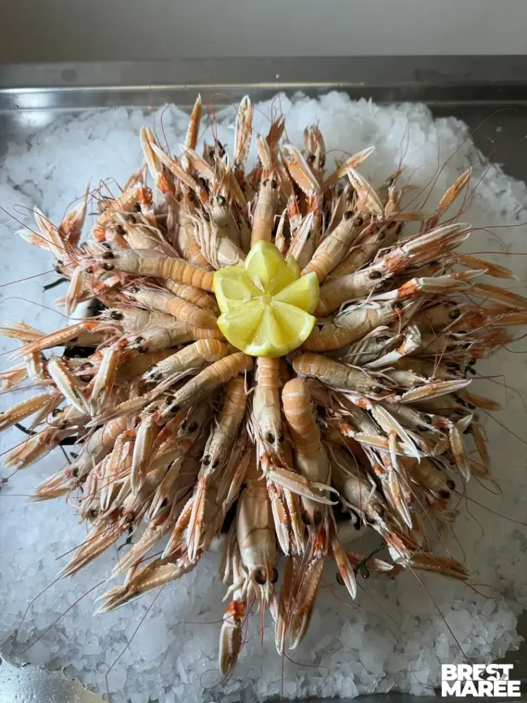 Plateau de Langoustines Cuites