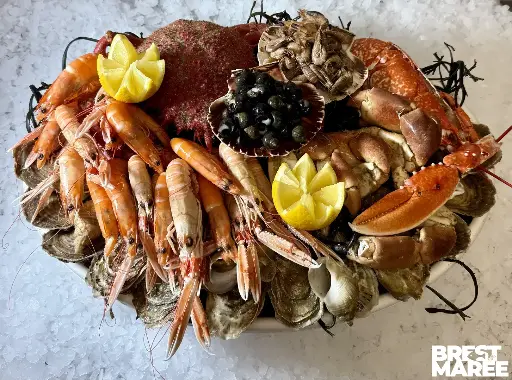 [PLATEAU.00] Plateau de Fruits de Mer " Brest Marée "