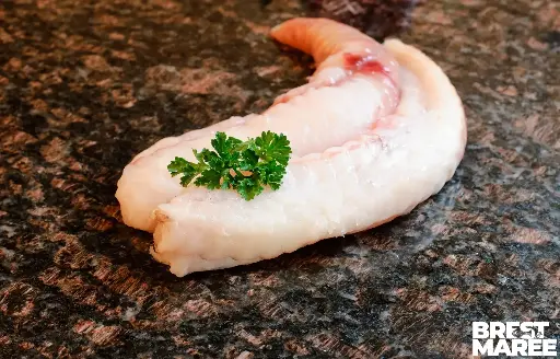[FILET.30] Filet de Lotte